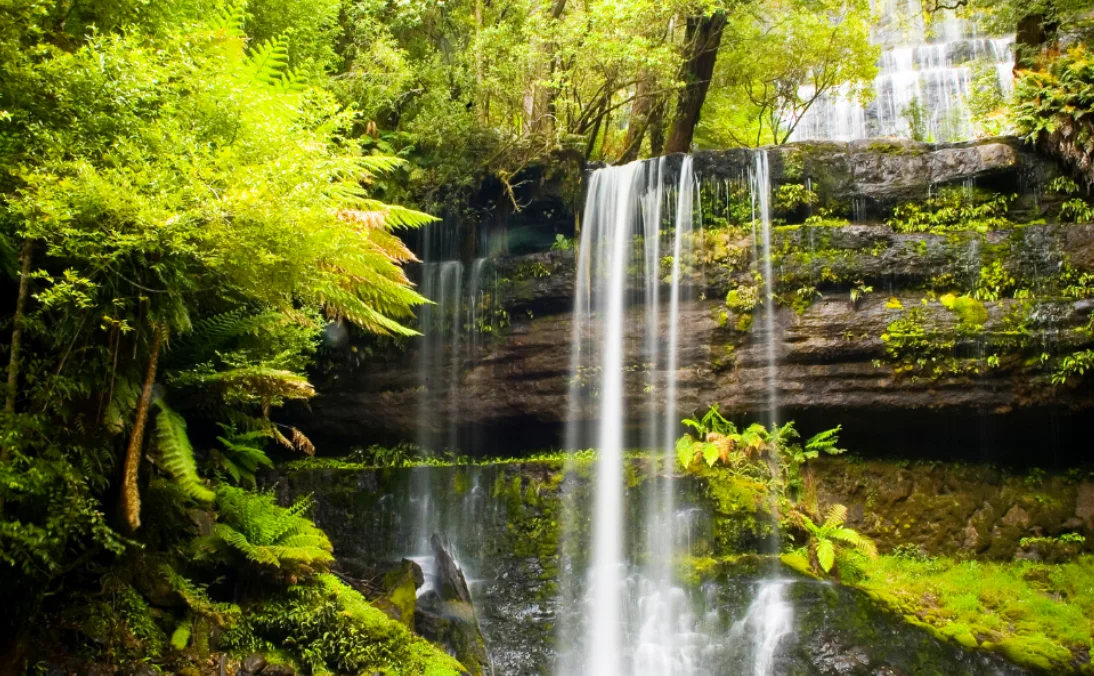 Tasmanian waterfall